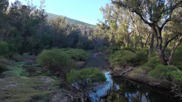 Aerial view of following river through pine forest Balingup Western Australia