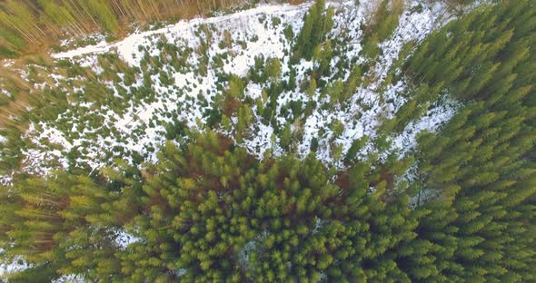 Aerial View of Pinetrees