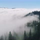 Forest In The Clouds - VideoHive Item for Sale