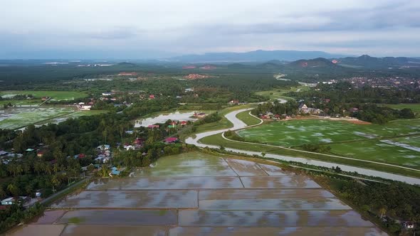 Aerial view green flooded paddy field beside green scenery alt