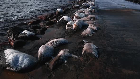 Waves Hitting Pier Covered in Ice in Winter Slow Motion Aerial Low Flight alt