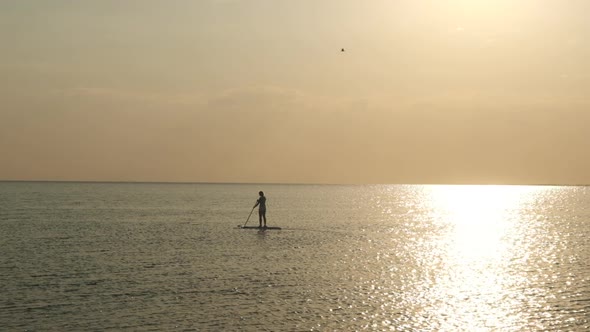 Sunset on the sea with silhouette of Girl with a Paddle on a SUP board alt
