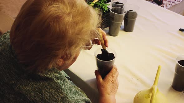 The Woman Mixes the Compost with a Spatula in a Pot and Sprinkles with Water alt