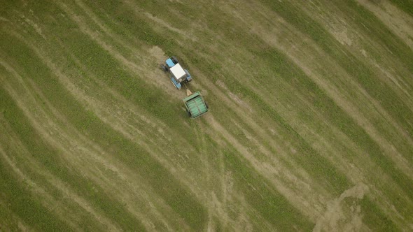 Aerial Top View of Tractor Rides on Field After Harvesting and Makes Haystacks