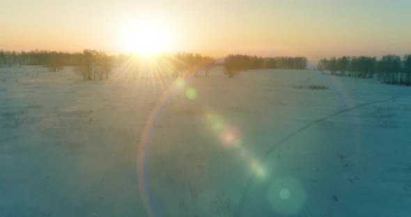 Aerial Drone View of Cold Winter Landscape with Arctic Field Trees Covered with Frost Snow and alt