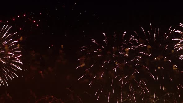 Colorful Fireworks Exploding in the Night Sky alt