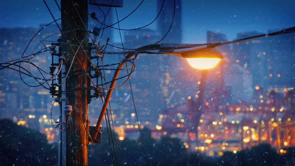 Streetlight In City With Snow Falling alt