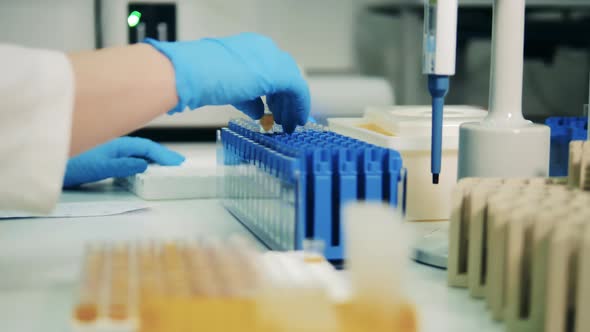 Coronavirus, Covid-19 Laboratory Test. Small Test Tubes Are Being Put Into a Laboratory Container alt