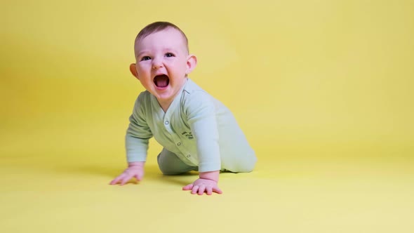 Happy toddler baby at the age of six months plays laughing on studio yellow background.
