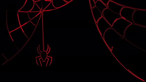 Neon lines Animation of Halloween spider on a black background. Halloween animation Spider.