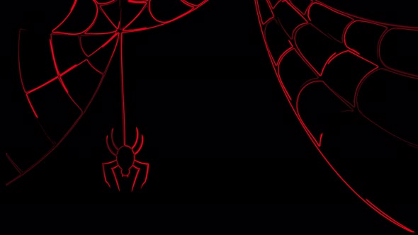 Neon lines Animation of Halloween spider on a black background. Halloween animation Spider. alt