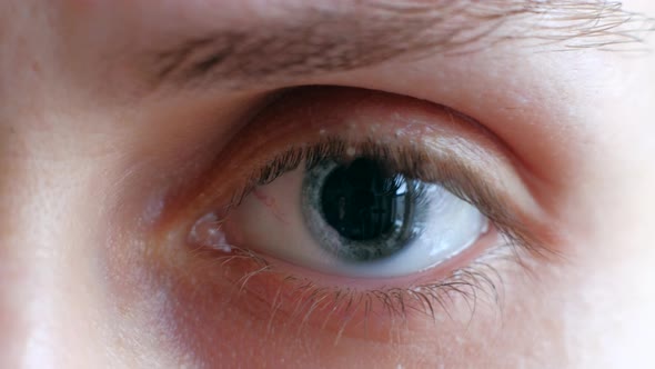 Concept of Healthy Vision alt