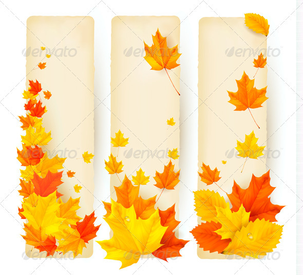 Three autumn banners with colorful leaves - Seasons Nature