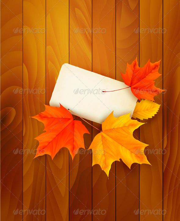Card with leaves on wooden background. Vector. - Seasons Nature