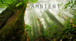 Ambient, Chill, Ethno, Lounge music