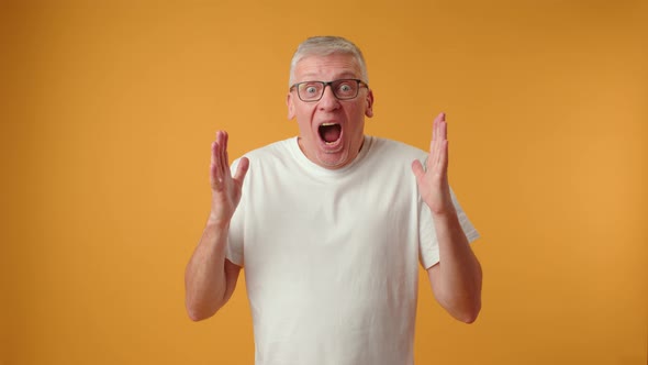 Middle Age Handsome Surprised Man Celebrating Success