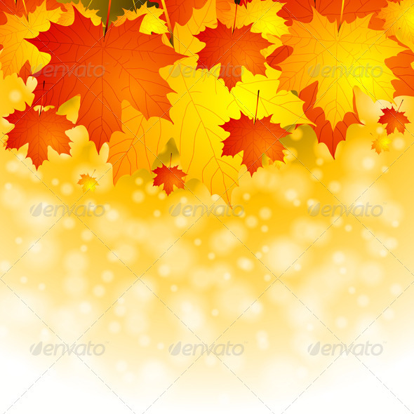 Colourful autumn background - Seasons Nature