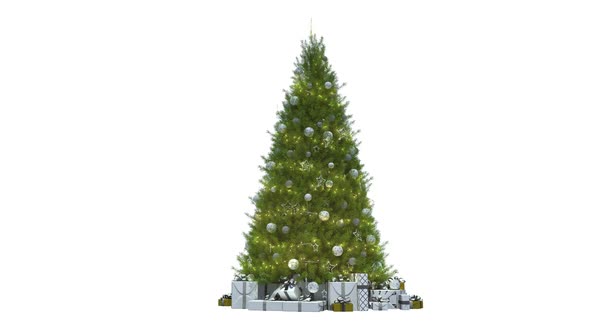 Christmas Tree Isolated
