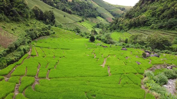 Aerial view of rice terraces field in northern of Thailand by drone