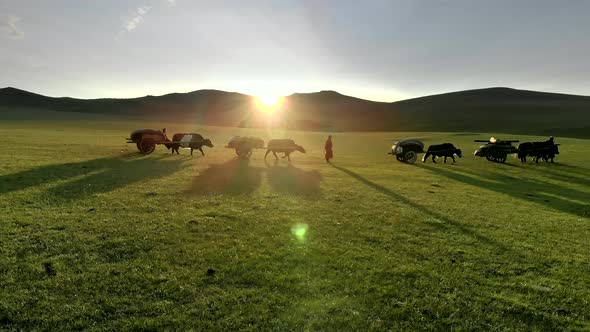 Central Asian Family People Walking Immigrating With Traditional Old Oxcart Tumbrel And Tumbril Cart alt