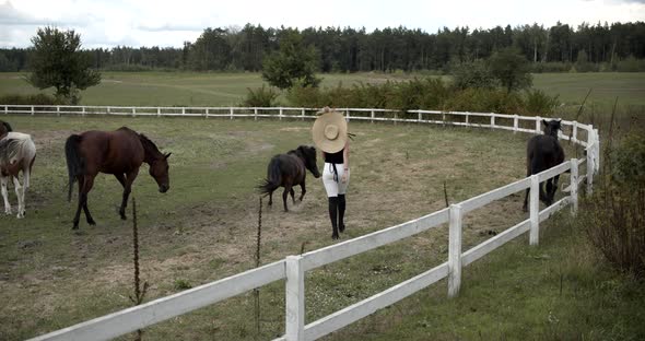 Pretty Girl Walks With Horses On Pasture alt