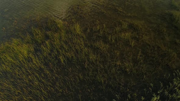 Lots of Water on Lake Svityaz