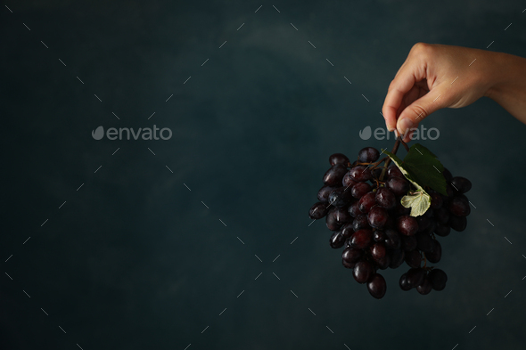 Female hand hold ripe grape on blue background - Stock Photo - Images