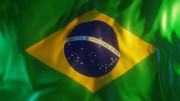 Brazil Flag with Edge Bump