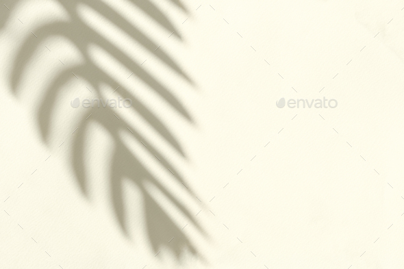 Silhouette of the shadow of a crooked branch - Stock Photo - Images