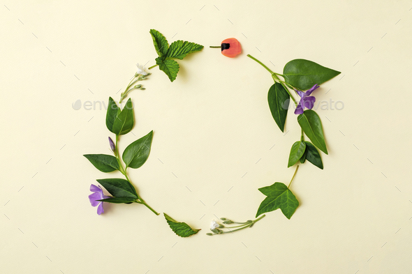 A wreath of summer garden plants and flowers on a yellow background. - Stock Photo - Images