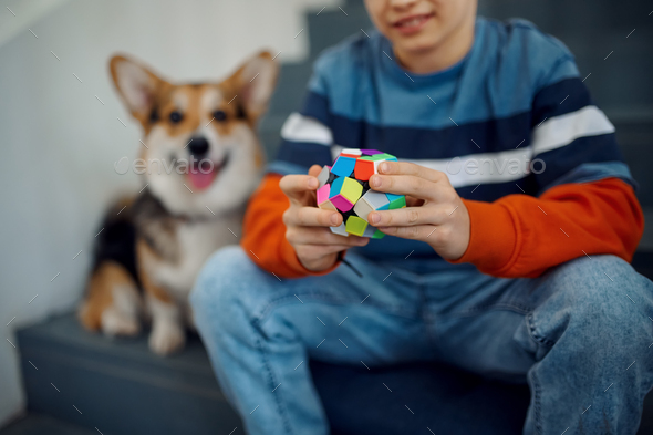 dog puzzle cube