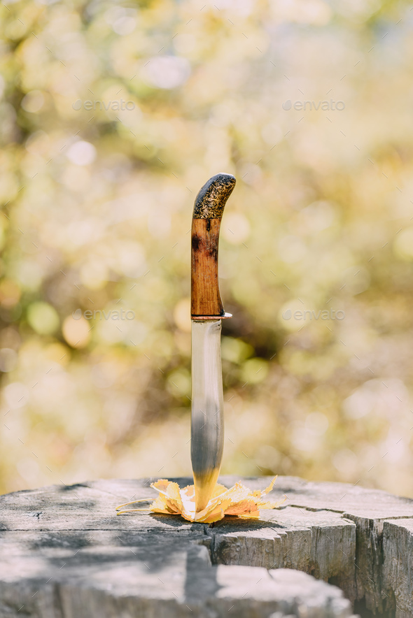 Knife stabbed in the yellow leaves and old stump