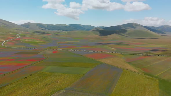 Aerial shot over the colorful flower fields in Castelluccio di Norcia, Umbria