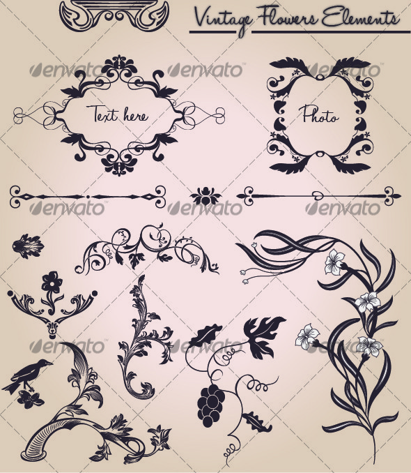 Set - Vintage Flower design - Flourishes / Swirls Decorative
