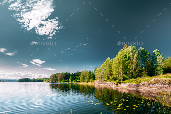 Nature. Sweden. Summer Lake Or River In Summer Sunny Day. Forest Growing On Stone Stock Photo by Grigory_bruev