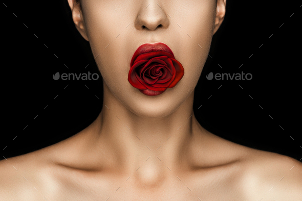 Cropped View Of Naked Woman Holding Red Rose In Lips Isolated On Black Stock Photo By