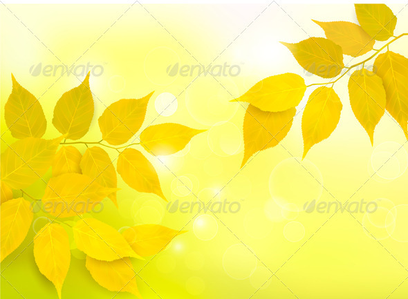 Nature background with autumn yellow leaves - Seasons Nature