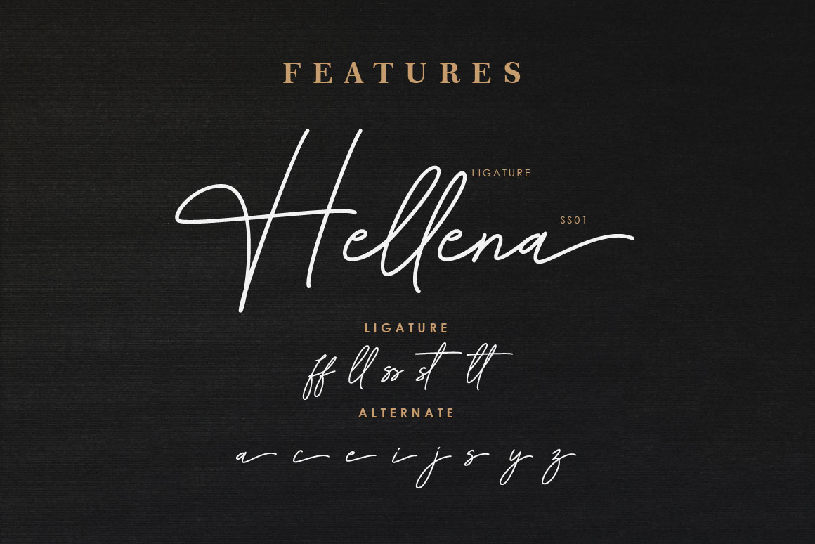 Hellena Handwritten Scrip Font, Fonts | GraphicRiver