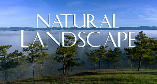 Natural Landscape