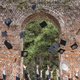 Mortarboard hats fly from outstretched hands after an outdoor graduation. - PhotoDune Item for Sale