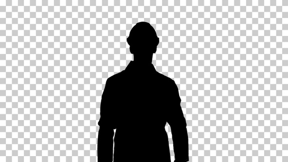 Silhouette Scientist or Engineer, Alpha Channel alt