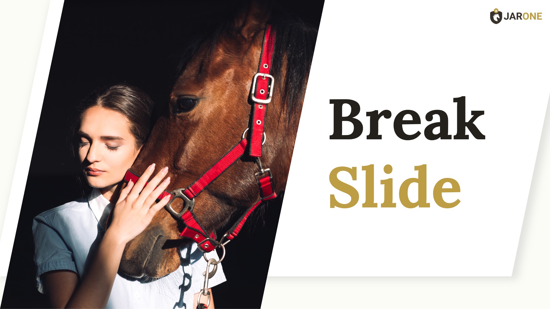 JARONE - Equestrian & Horse Riding Club Powerpoint Template ...