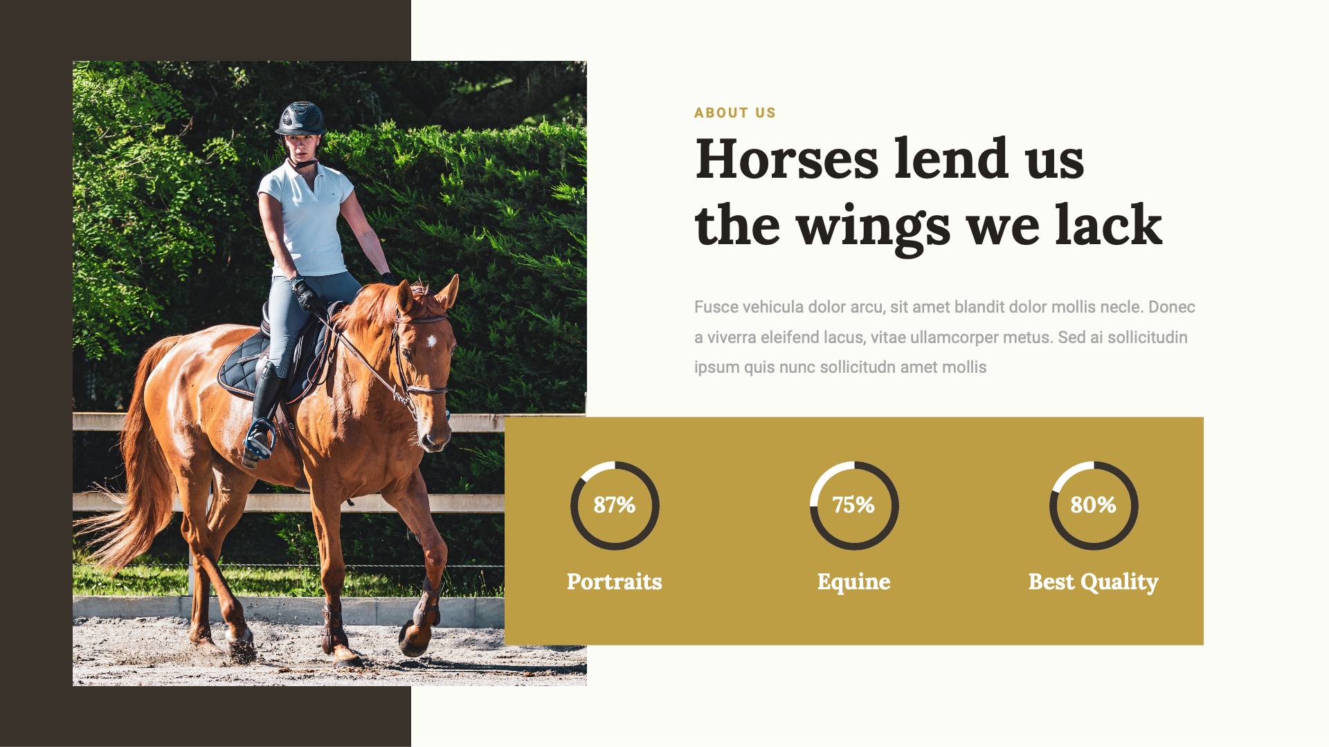 JARONE - Equestrian & Horse Riding Club Google Slides Template by ...