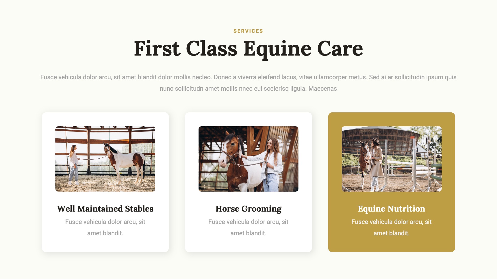 JARONE - Equestrian & Horse Riding Club Google Slides Template ...