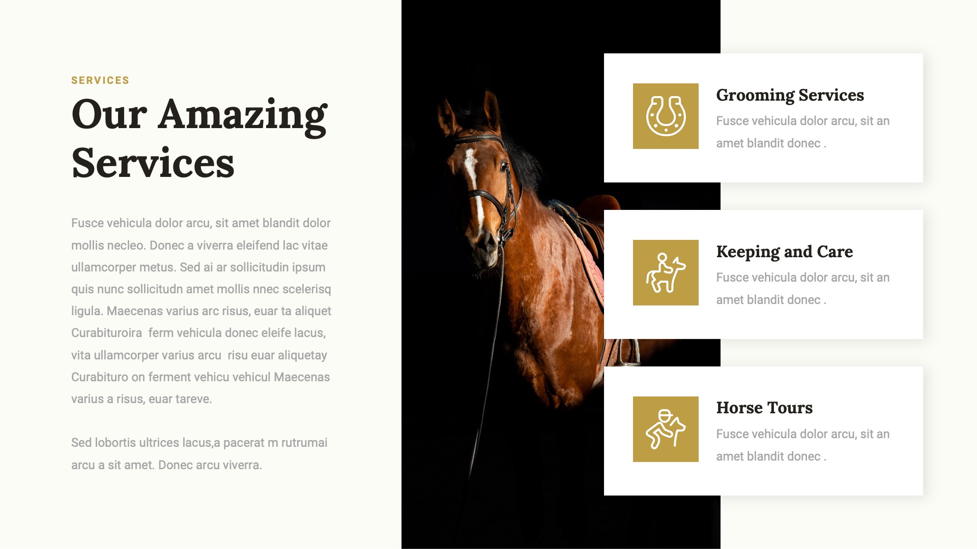 JARONE - Equestrian & Horse Riding Club Google Slides Template ...