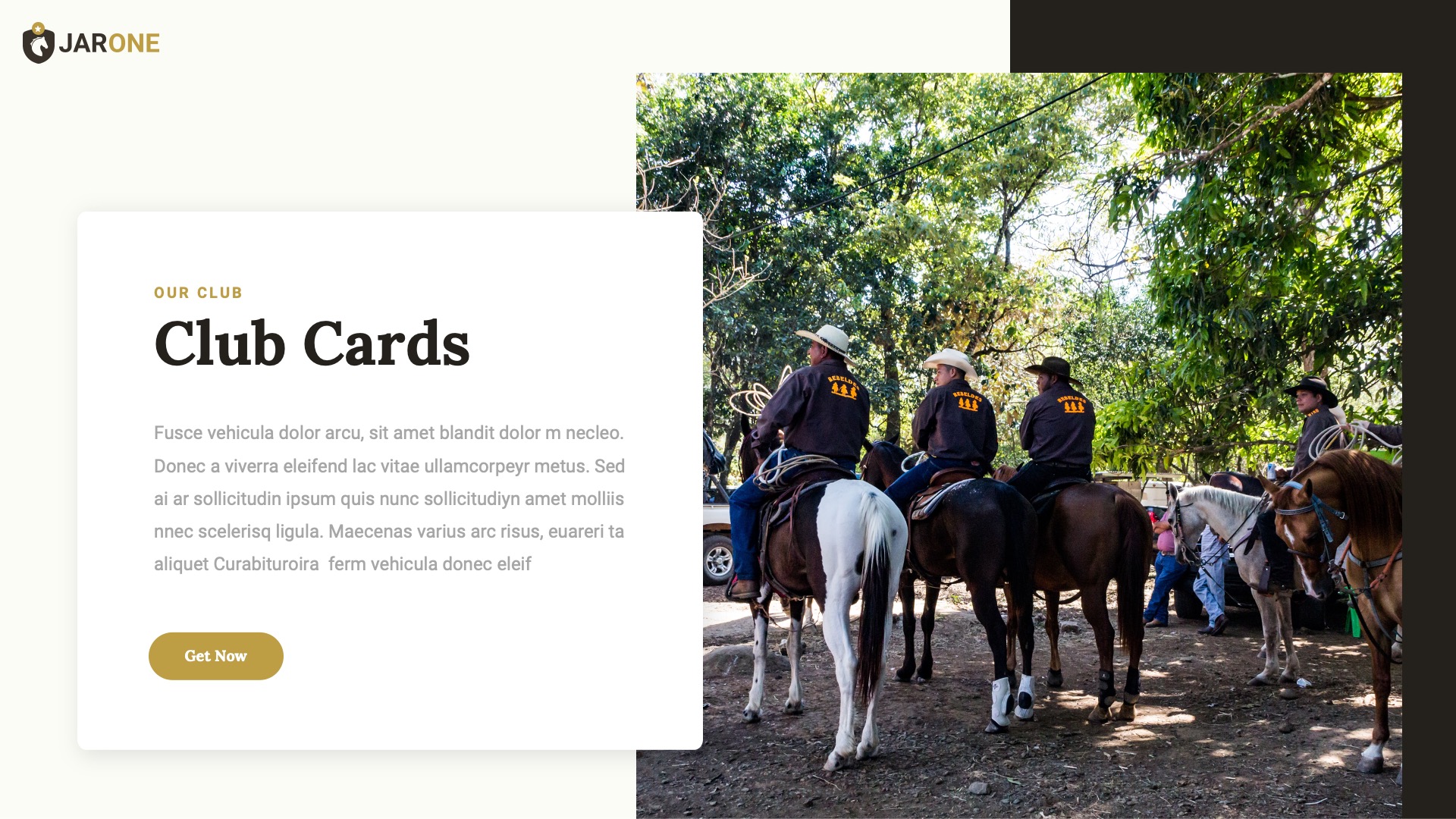 JARONE - Equestrian & Horse Riding Club Google Slides Template ...