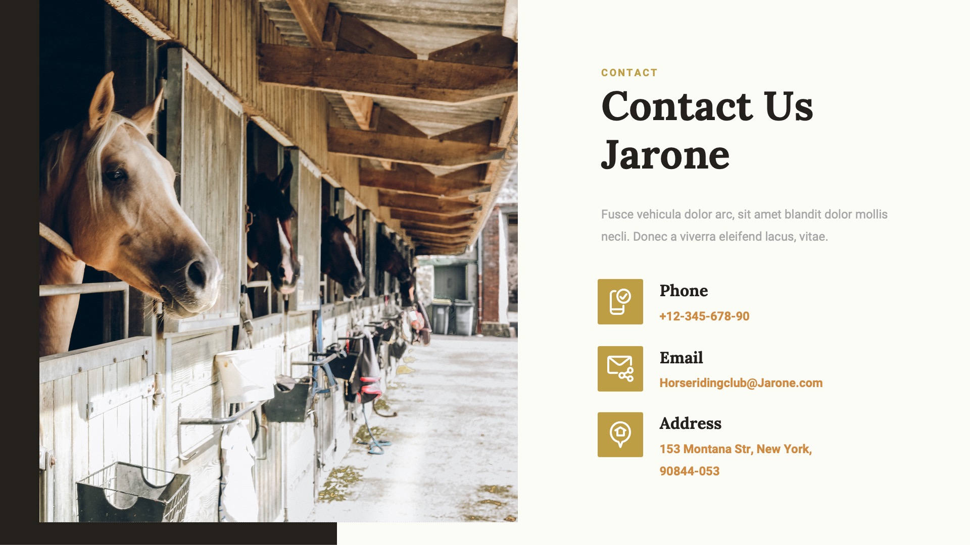 JARONE - Equestrian & Horse Riding Club Google Slides Template ...