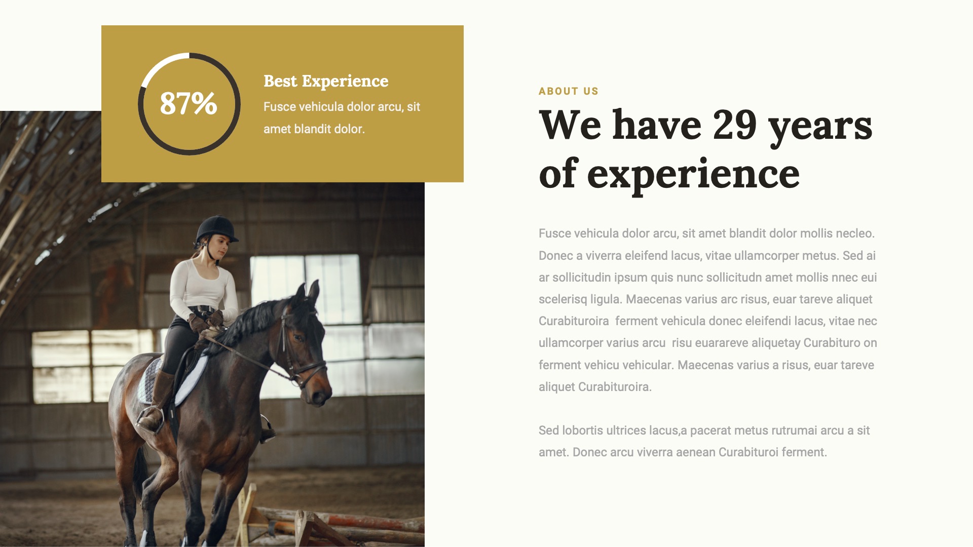 JARONE - Equestrian & Horse Riding Club Google Slides Template ...