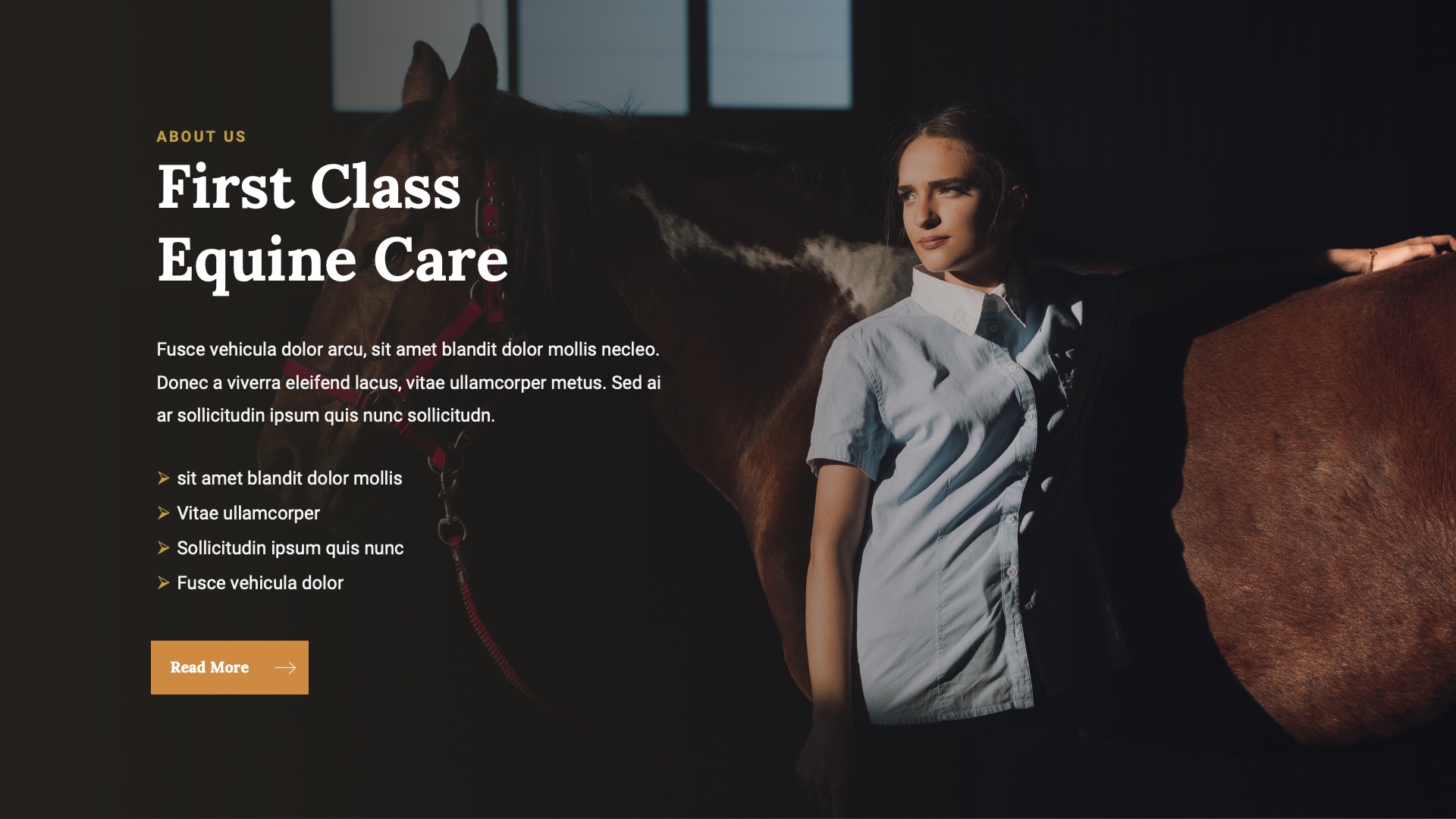 JARONE - Equestrian & Horse Riding Club Google Slides Template ...