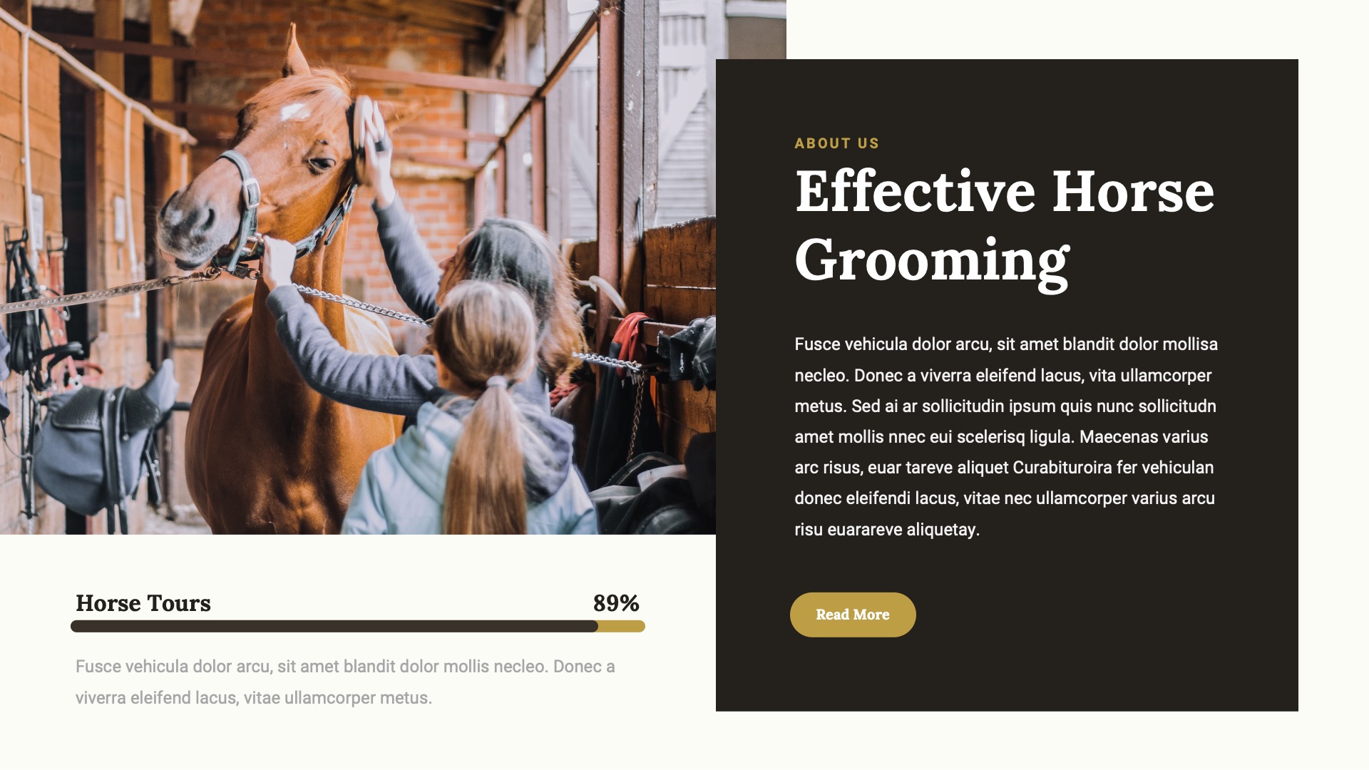 JARONE - Equestrian & Horse Riding Club Google Slides Template ...